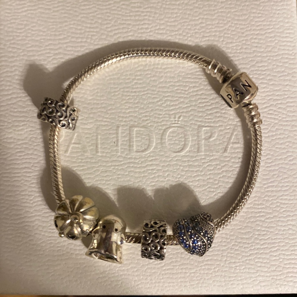 Pandora bracelet and charms